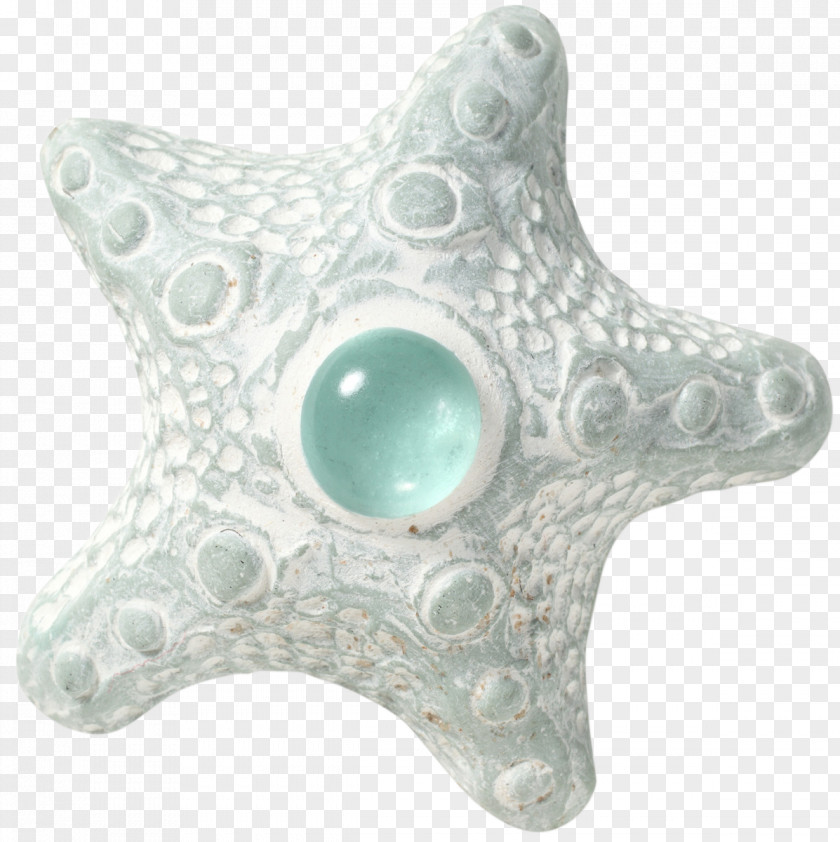 Jewellery Turquoise Starfish PNG