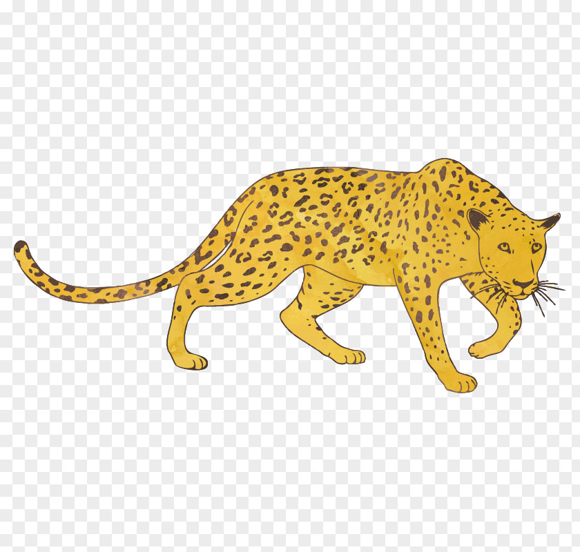 Leopard Jaguar Cheetah Felidae Clip Art PNG