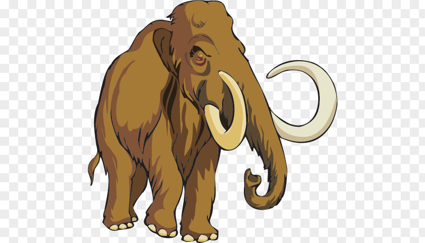 Lion African Elephant Mammoth Site, Hot Springs Woolly Drawing PNG