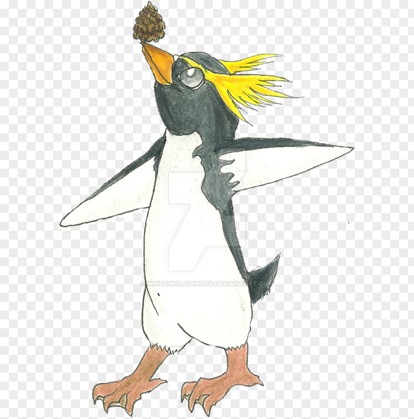 Penguin Bird Of Prey Beak PNG