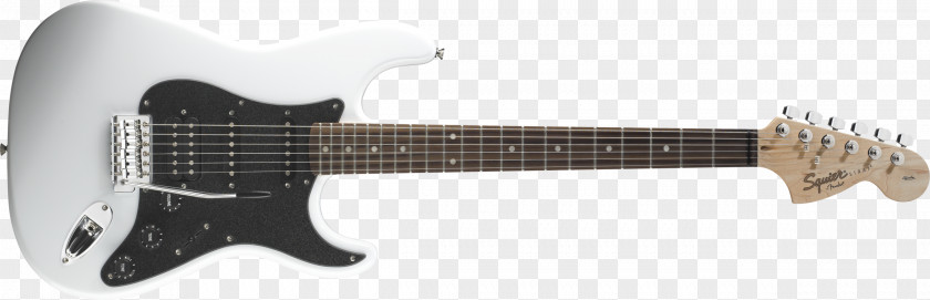 Rosewood Fender Stratocaster Squier Deluxe Hot Rails Bullet Jaguar Precision Bass PNG