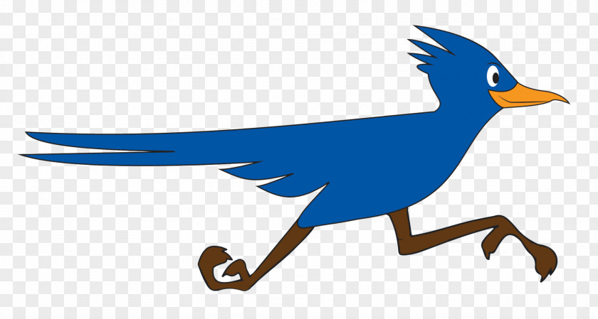 School Gallimore Elementary Plymouth Bird PNG