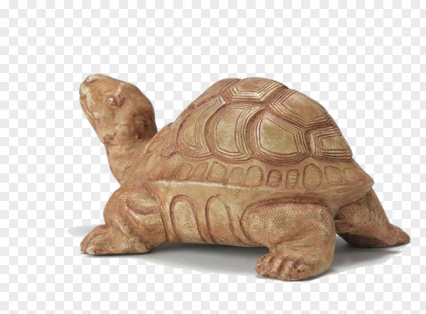 Stone Carvings Upward Crawling Tortoise Box Turtle PNG