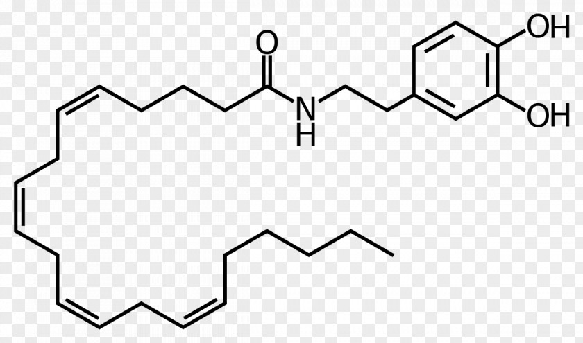 Adrenaline Neurotransmitter Agonist Norepinephrine Clip Art PNG