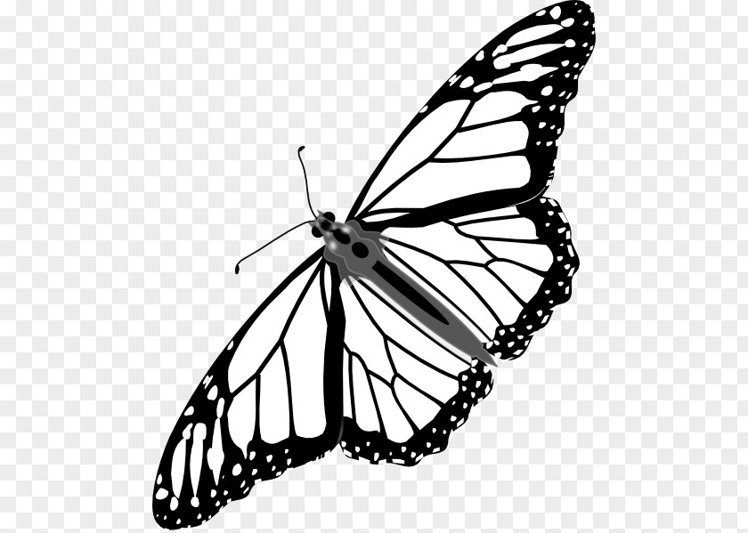 Cartoon Monarch Butterfly Clip Art PNG