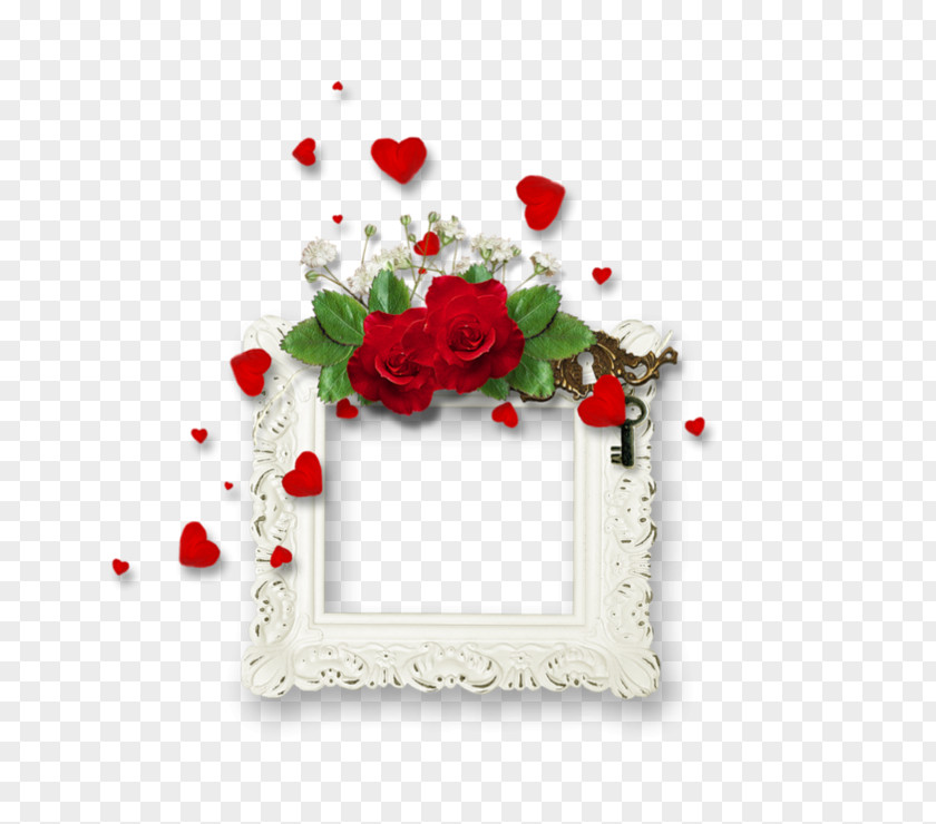 Continental Red Rose Frame Picture PNG