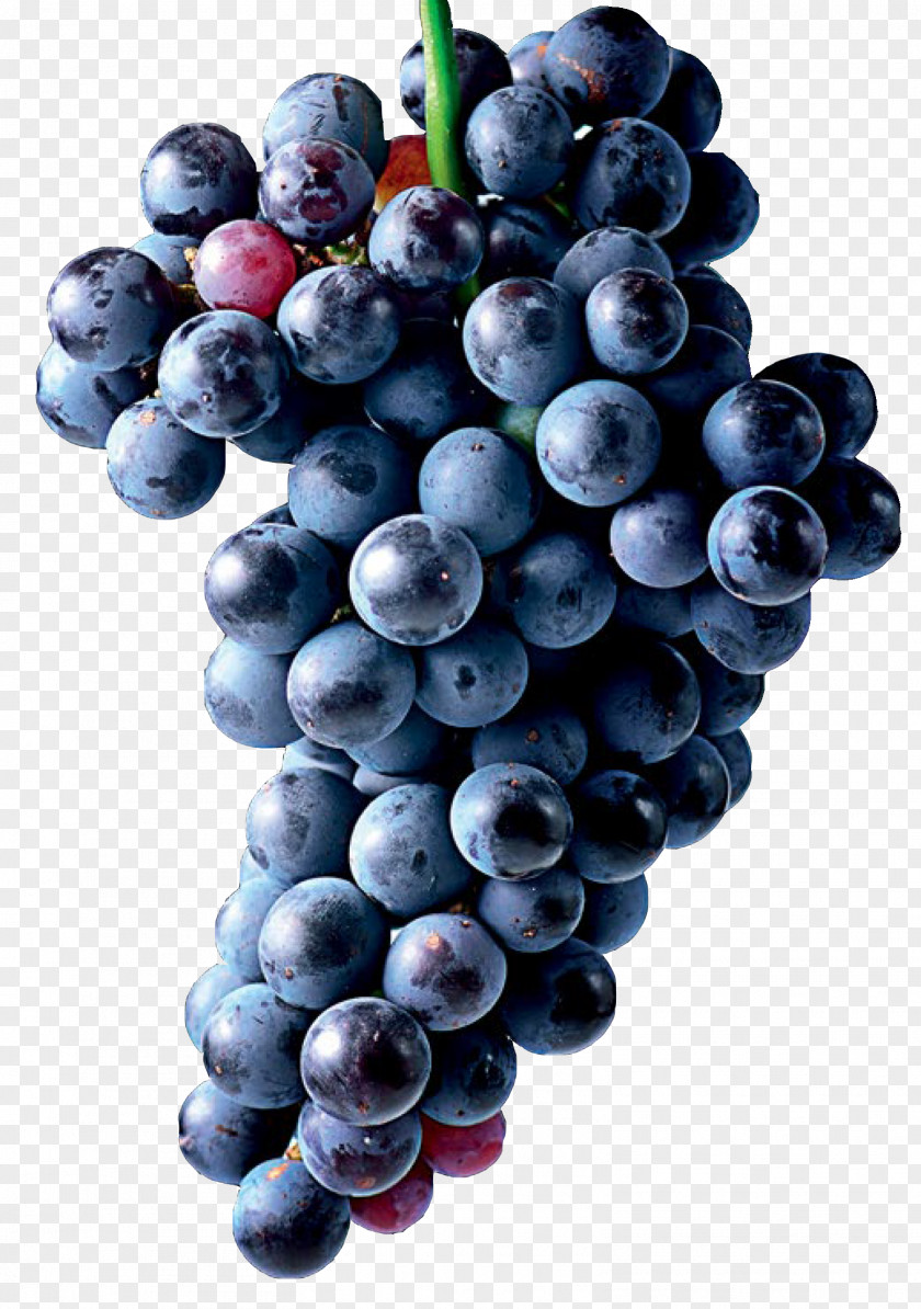 Grape Valandovo Winery Zante Currant Seedless Fruit Bilberry PNG