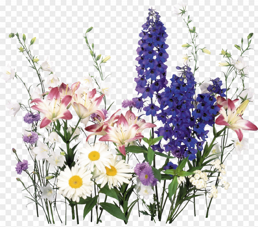 Hand Painted Flowers Flower Of The Fields Bouquet PNG