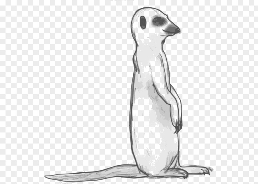 Meerkat Clipart Black And White Clip Art PNG