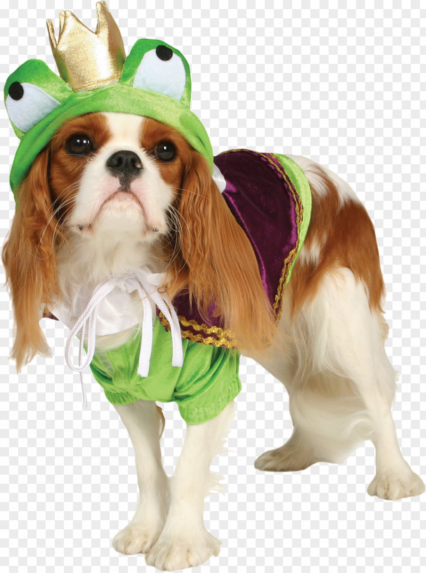 Puppy Dog Clothing Cat Pet PNG
