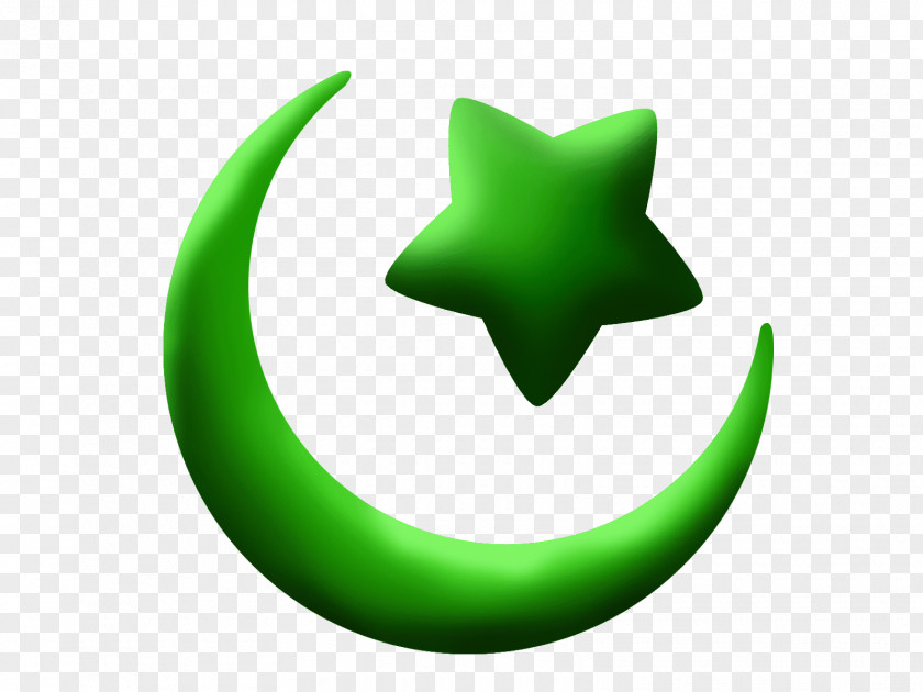 Sikhism Symbols Of Islam Star And Crescent Religion PNG