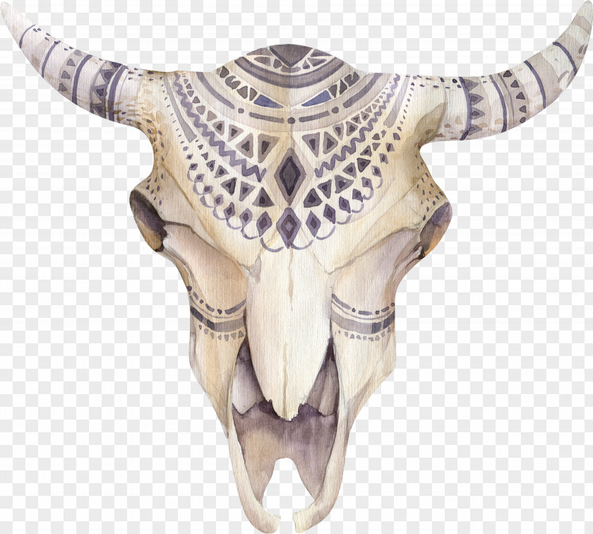 Skull Cattle T-shirt Stock Photography Illustration PNG