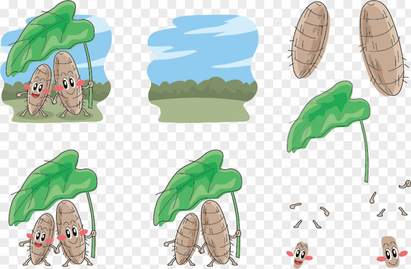 Two Taro Leaf Under The Expression Vector Dumpling Illustration PNG