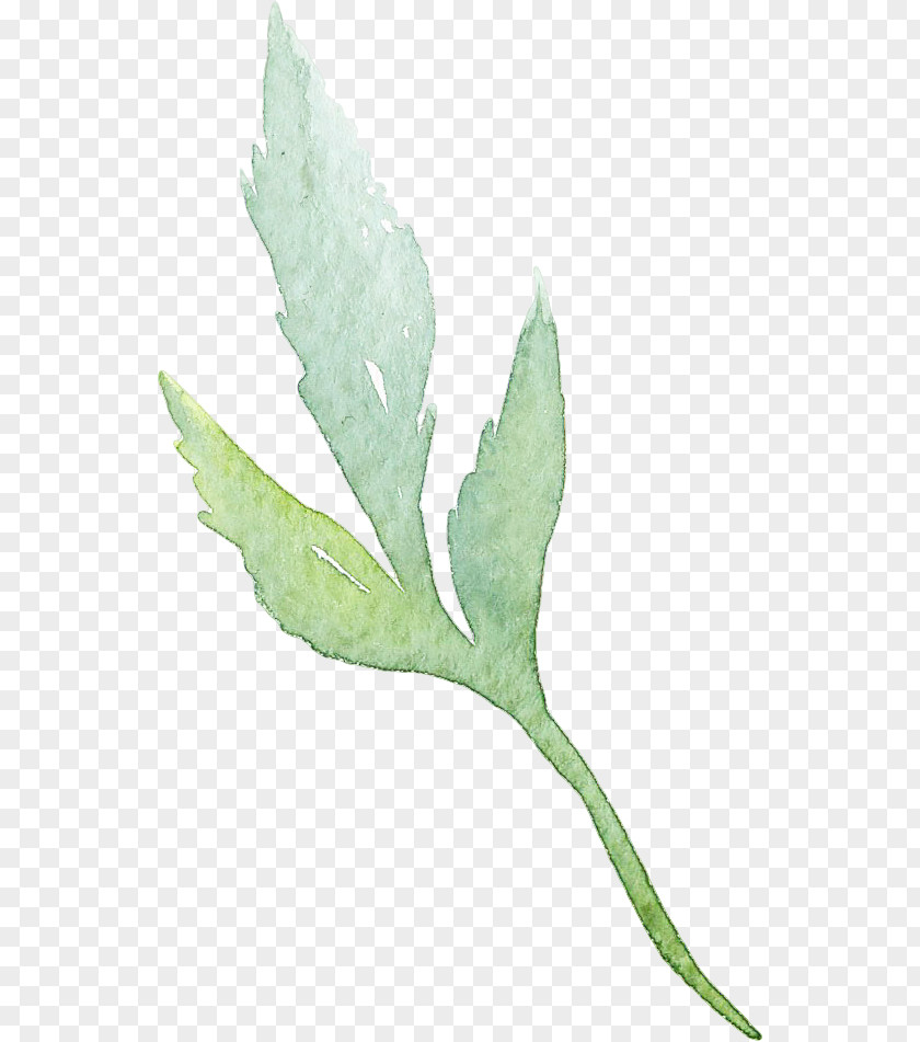 Watercolor Retro Green Leaves Leaf Watercolor: Flowers Watercolour Painting PNG