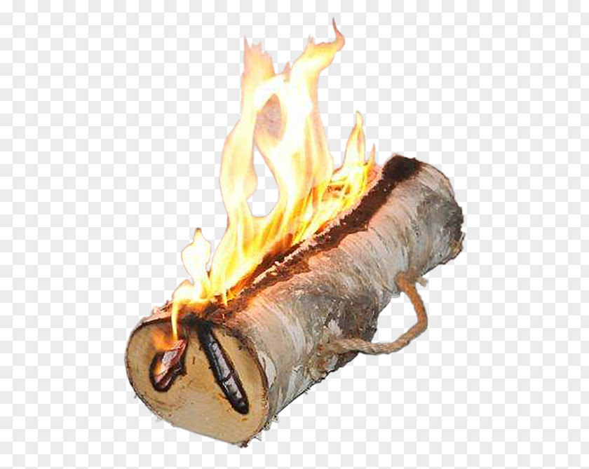 Burn Bonfire Yule Log Fireplace Light PNG
