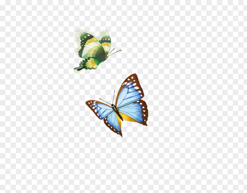 Butterfly Flying PNG