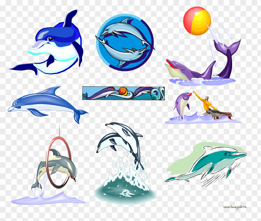 Dolphin Whale Clip Art PNG