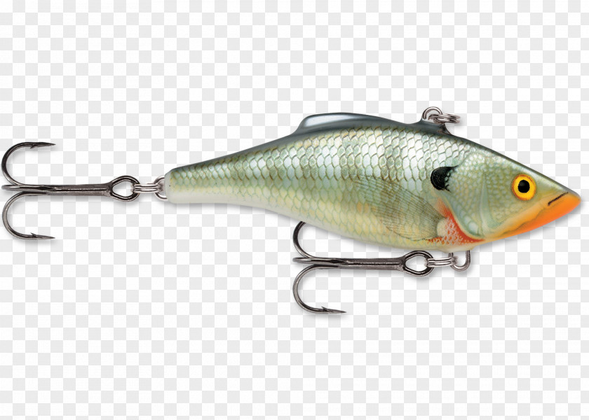 Fishing Gear Baits & Lures Rapala Topwater Lure PNG