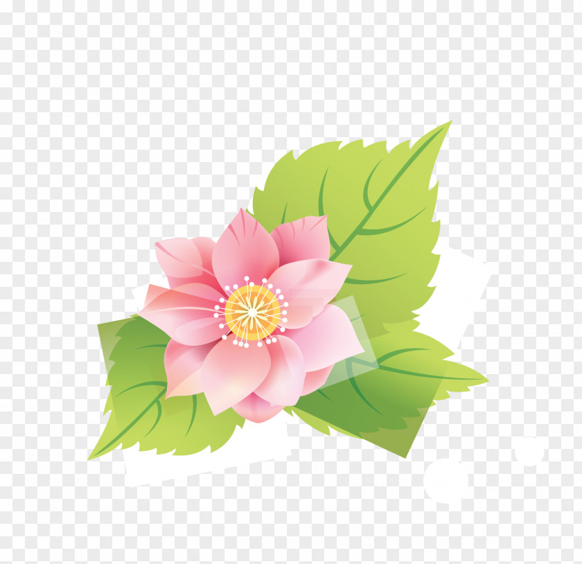 Flower Cut Flowers Floral Design Garden Roses Peony PNG