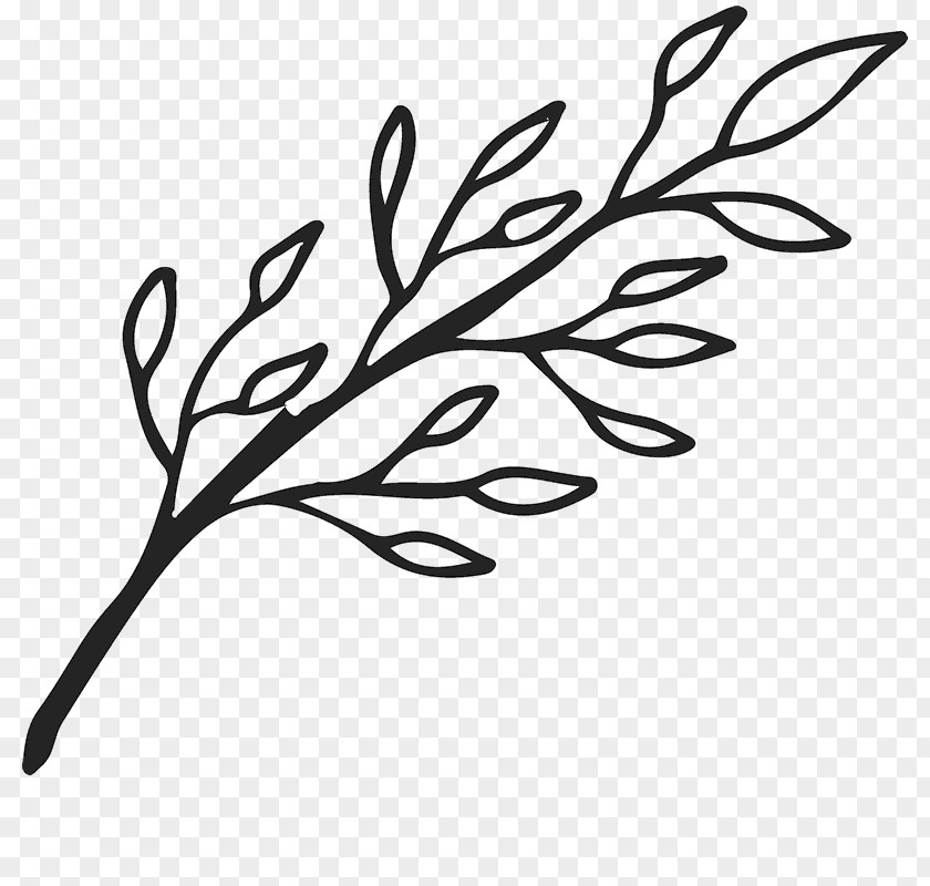 Leaf Twig Branch Clip Art PNG