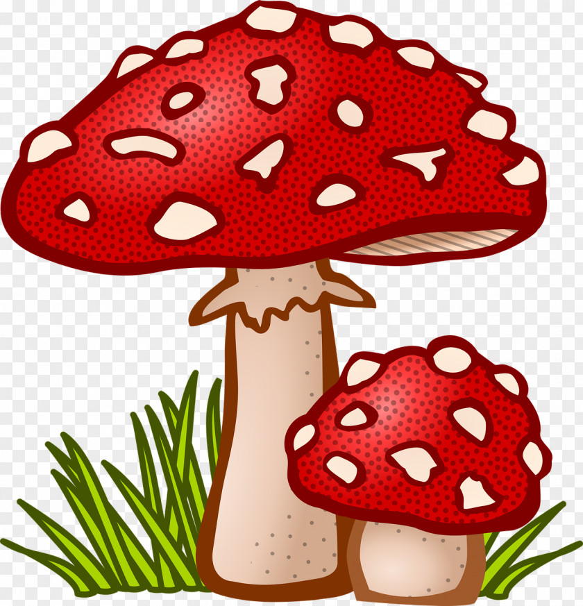 Mushroom Fungus Clip Art PNG