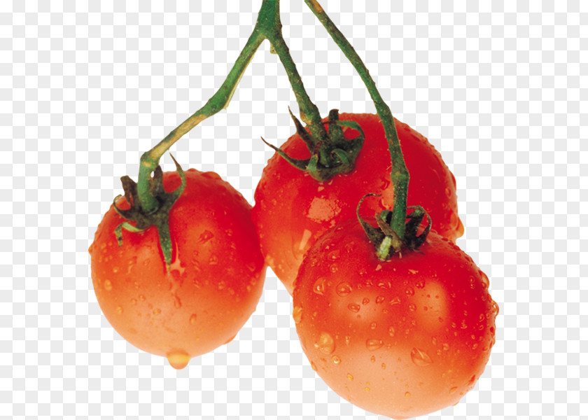 Tomato Image Vegetable Clip Art PNG