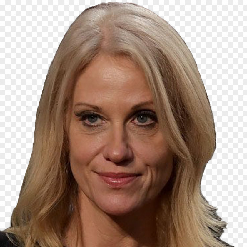 White House Kellyanne Conway Presidency Of Donald Trump President The United States Presidential Campaign, 2016 PNG