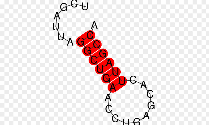 Bioscience Line Point Angle Brand Clip Art PNG