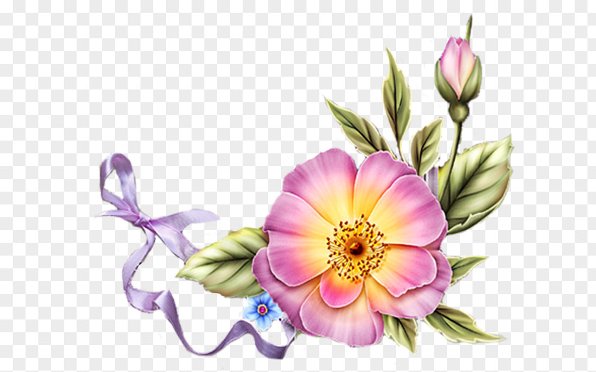 Flower Floral Design Clip Art PNG