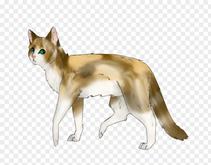 Kitten Whiskers Norwegian Lundehund Domestic Short-haired Cat Red Fox PNG