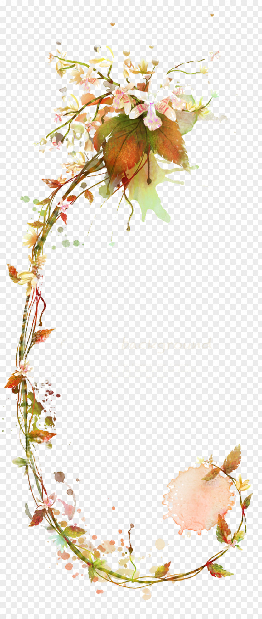 Pear Tree Branch Picture Material Flower Vine Illustration PNG