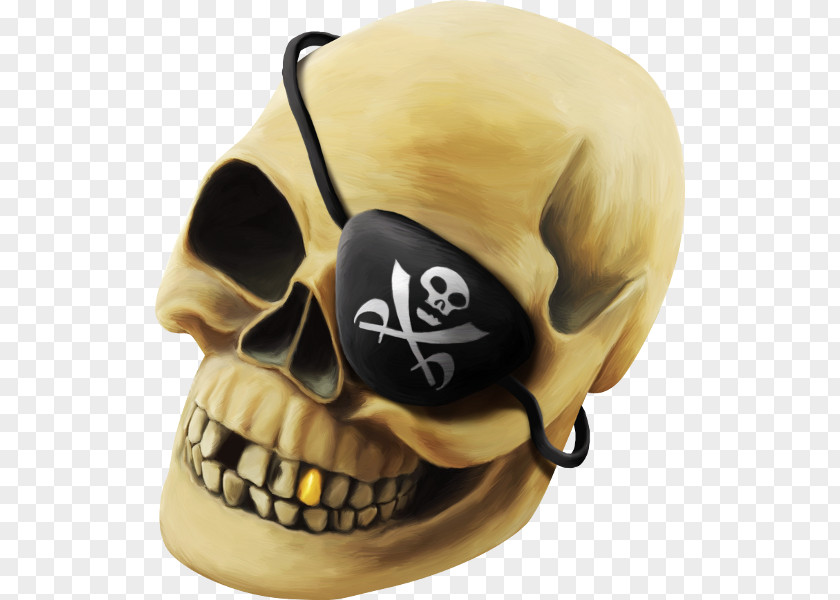 Pirate Skull Piracy Skeleton PNG