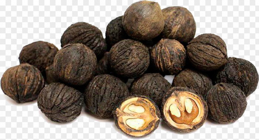 Walnut Eastern Black English Tincture PNG