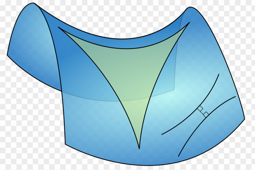Euclidean Hyperbolic Geometry Non-Euclidean Plane PNG