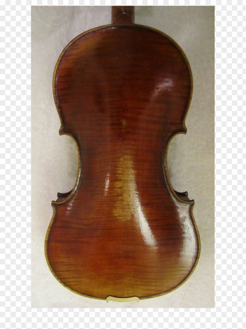 Five String Violin Bass Violone Viola Cello PNG