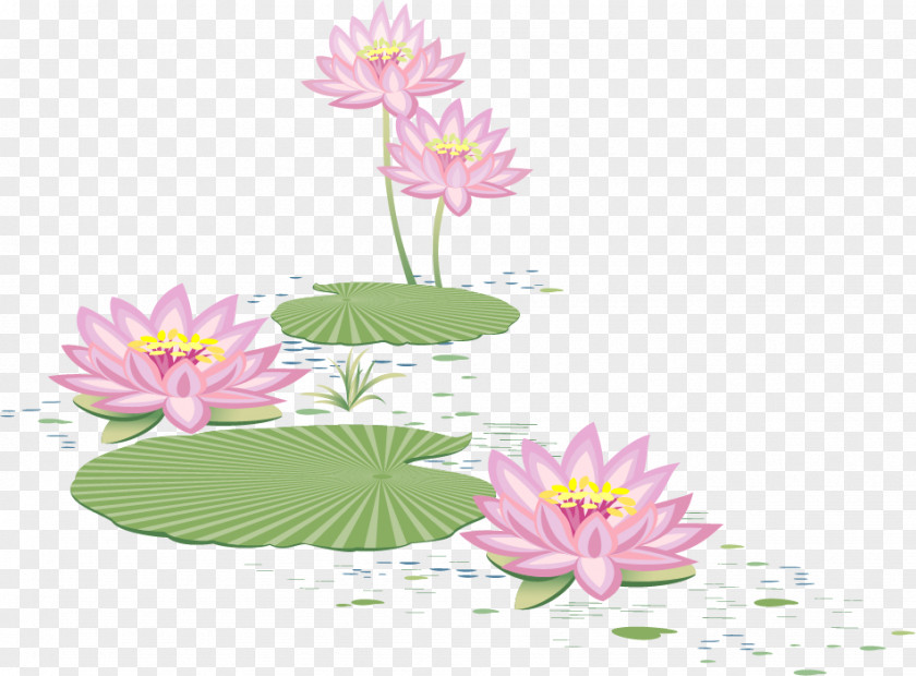 Vector Lotus Pond Euclidean PNG