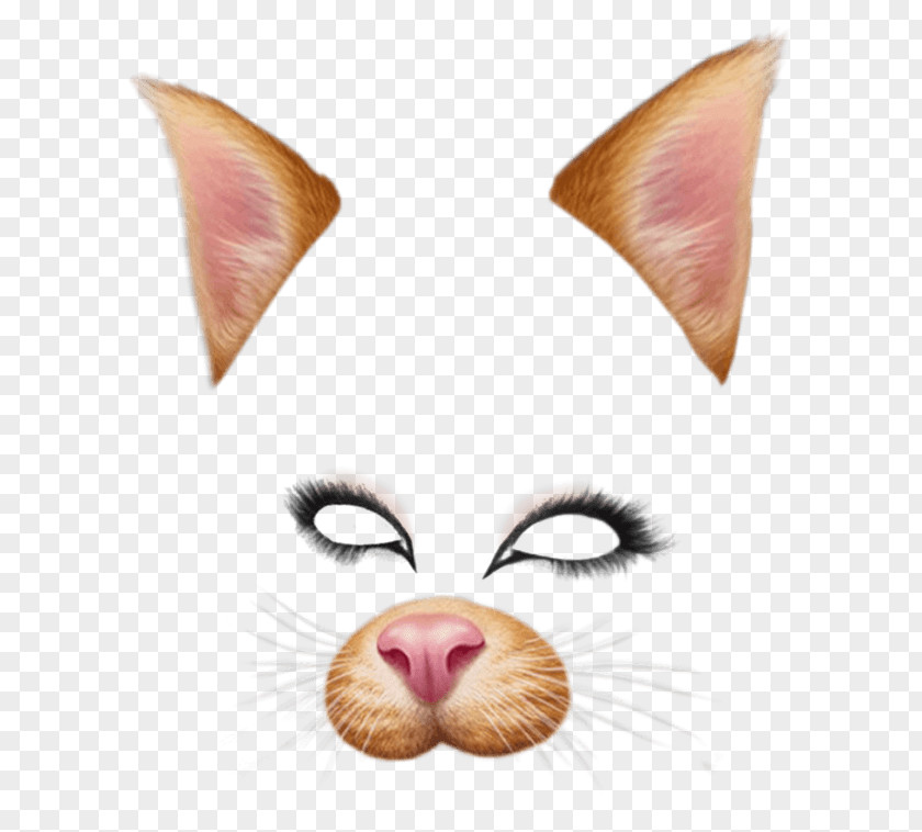 Cat Hand Photographic Filter Snapchat Clip Art PNG