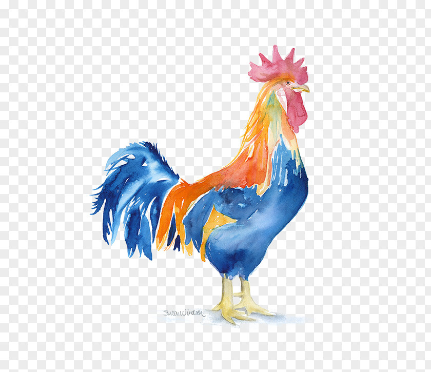 Cock Watercolor Painting Paper Chicken Printing PNG
