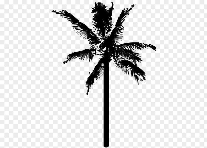 Coconut Tree Black Arecaceae Clip Art PNG