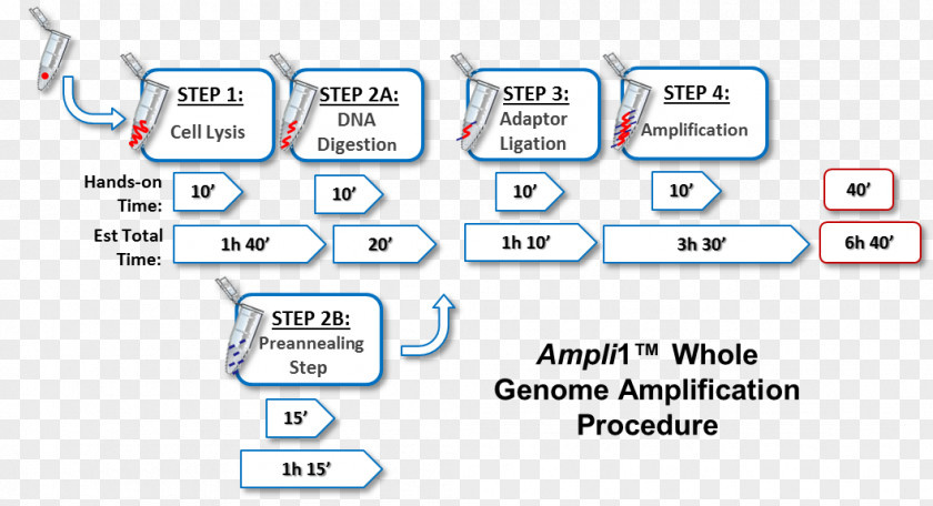 DNA Polymerase Chain Reaction Technology Genome Cell PNG