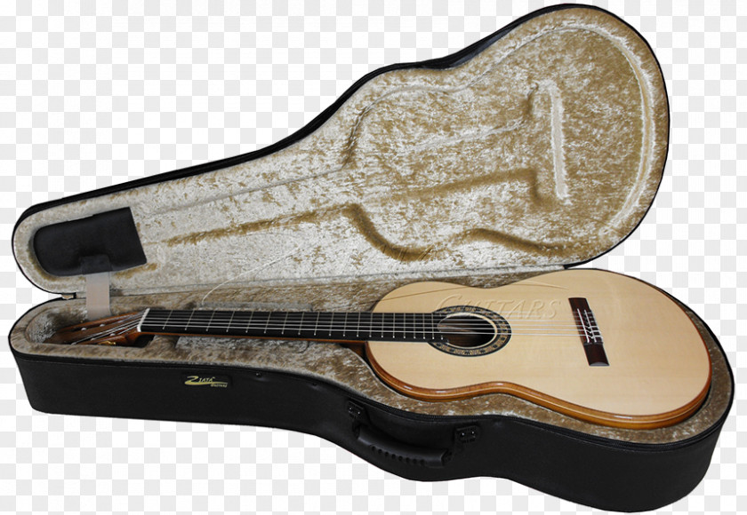 Guitar Case Acoustic Tiple Cavaquinho Bass PNG