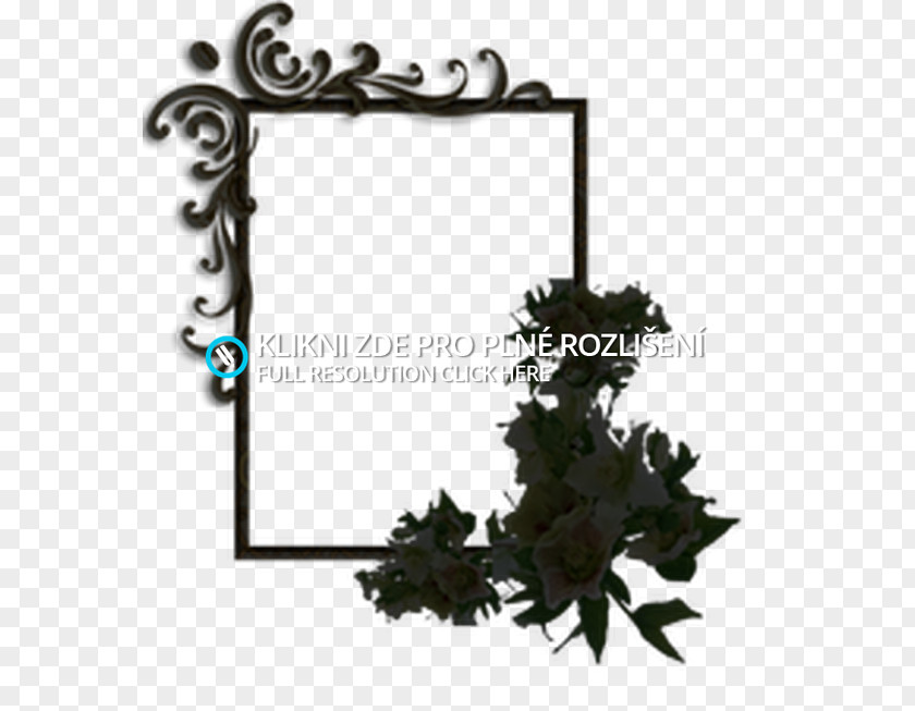 Leaf Picture Frames Font PNG
