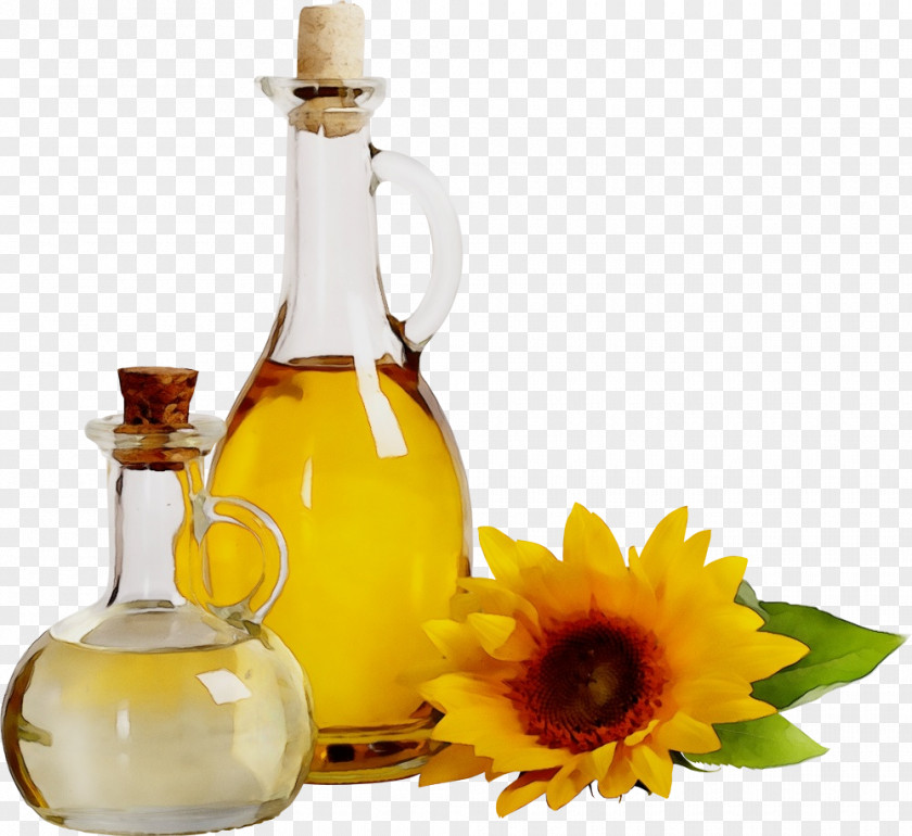 Olive Oil PNG