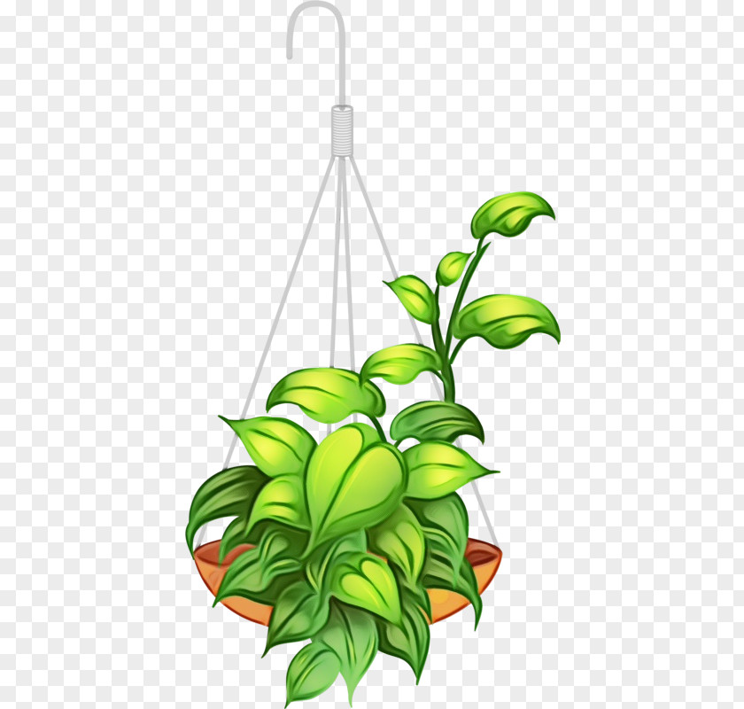 Plant Stem Flowering Flower Houseplant Leaf Clip Art PNG