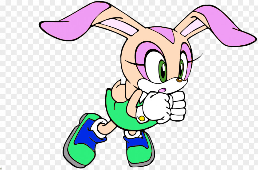 Sonic Advance 2 Battle The Hedgehog Cream Rabbit Amy Rose PNG