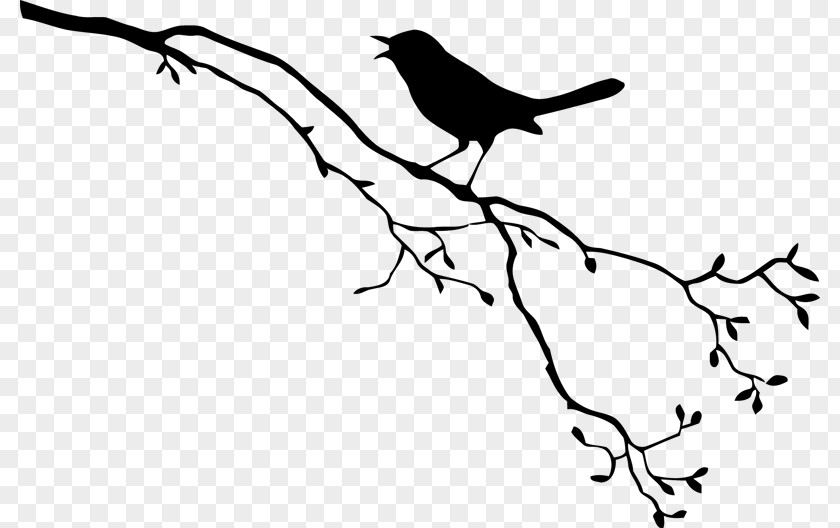 Border Branches Bird Royalty-free Drawing PNG