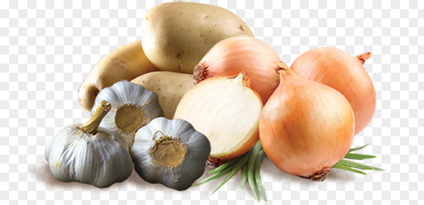 Cebola Onion Vegetable Potato Food Garlic PNG