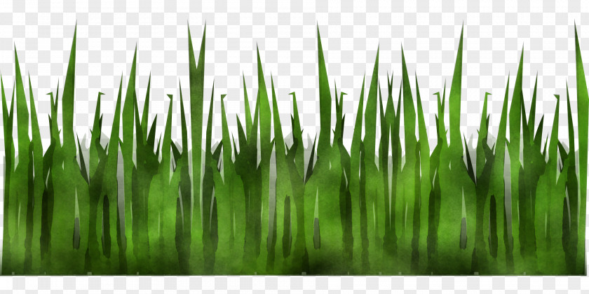 Colorgardenカラーガーデン Close-up March Computer Wheatgrass PNG