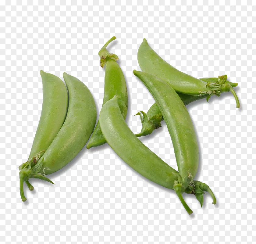 Free Tiandou Pull Material Yardlong Bean Snap Pea Vegetable Common PNG
