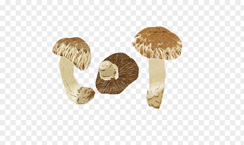 Mushroom Hand Painting Material Picture Zongzi Fungus PNG